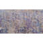 Tapis bleu / beige Atanasa-1799182532