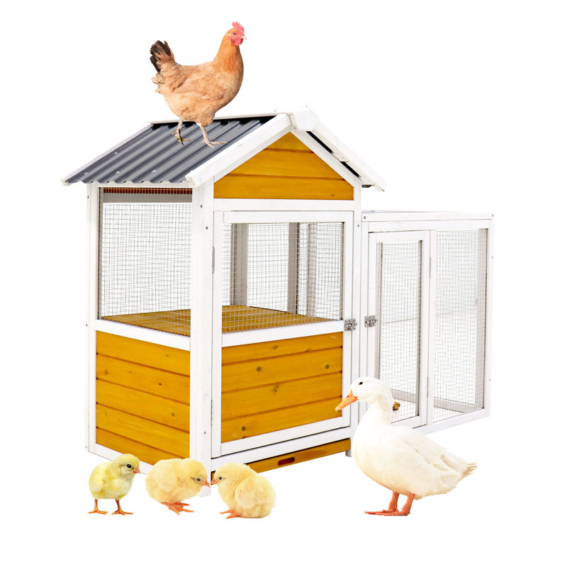 Cage à perroquet d'extérieur en bois - Poulailler, canard, oiseau, cage à lapin
