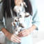 Fleurs de tige en coton blanc naturel de 21 pouces, branches de coton de style campagnard rustique, 10 branches de coton naturel et fleurs séchées