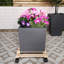 Caziyah Wood Caddy Plant Stand