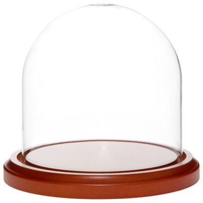 Cloche en verre Vucciria