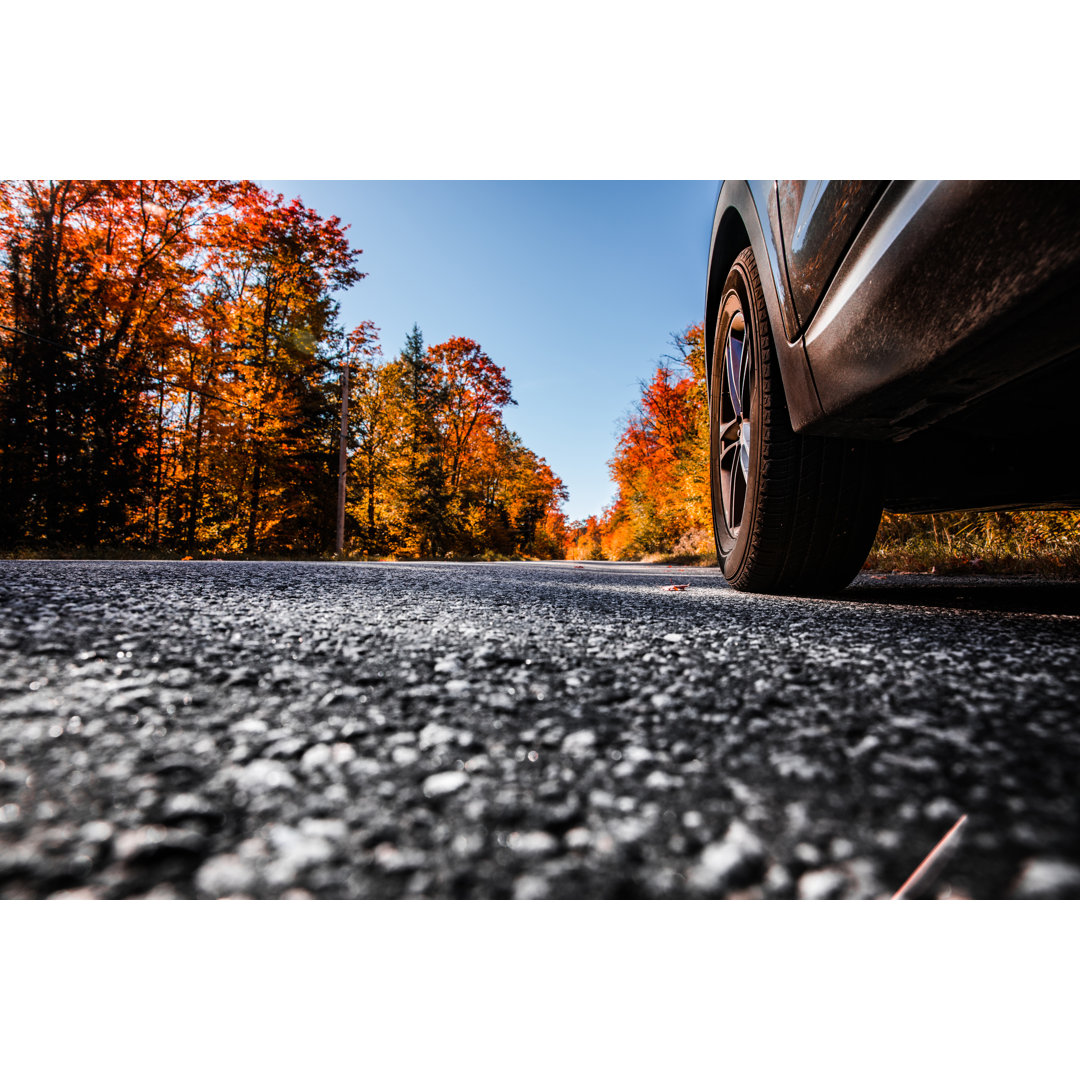 Straße in kanadischen Parks Bereich im Herbst von LeoPatrizi - No Frame Print auf Leinwand