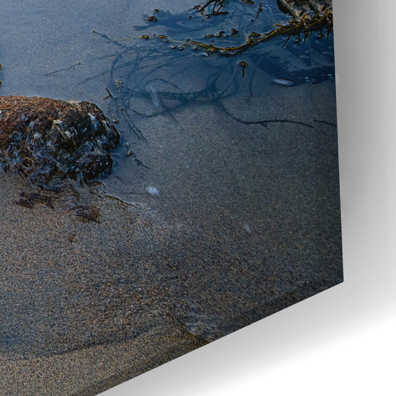Art mural en verre Highland Dunes «Summer Morn On Georgetown Island» par Rick Berk, H 16 po x l 24 po x P 0,2 po