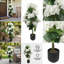 Arbres d'hortensia artificiels de 90 cm (3 pi) en pot, topiaires pour l'extérieur (lot de 2)