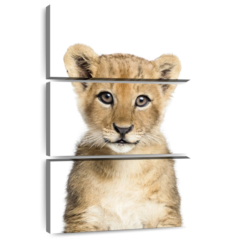 Brampt Adorable Baby Lion