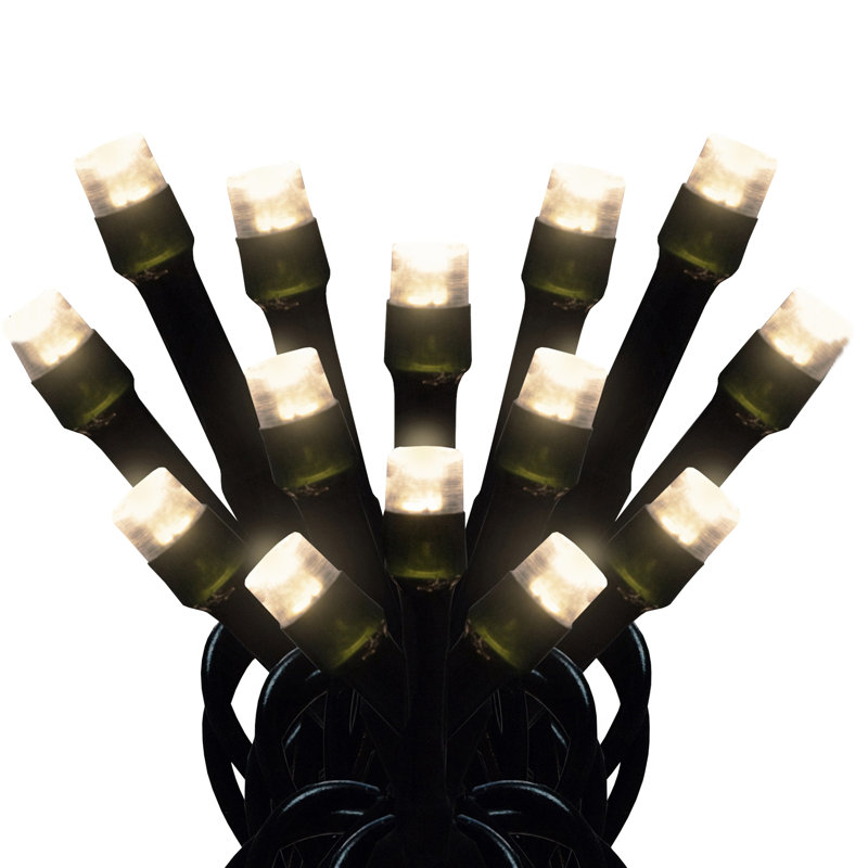 Abinayan 150 - Bulb 432'' Plug-in Mini String Light, White, Green