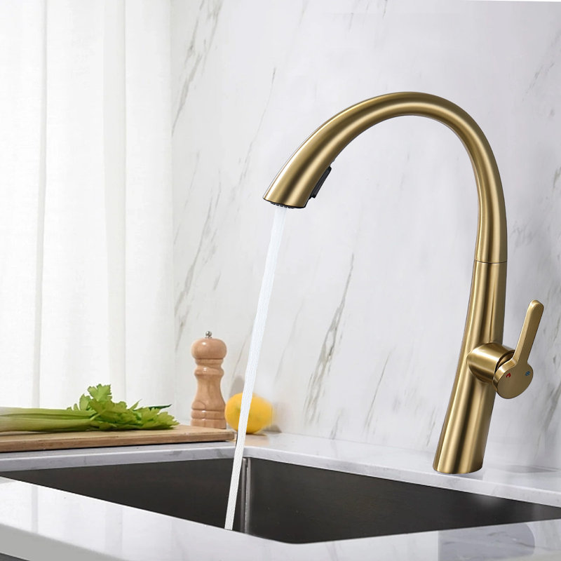 CERYPSA Pull Out Kitchen Faucet, Brushed