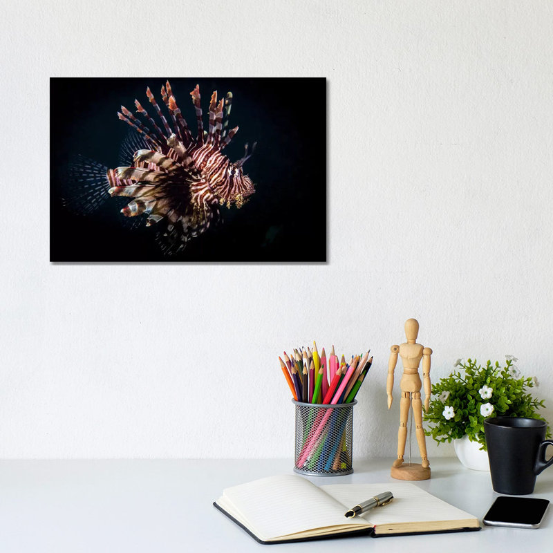 A Lionfish Portrait, Anilao, Philippines by Brook Peterson - Wrapped Canvas Print, 20.32 cm H x 30.48 cm W