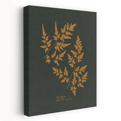 Golden Fern Silhouettes Classic Elegant Organic Organic Nature Landscape, reproduction d'art murale