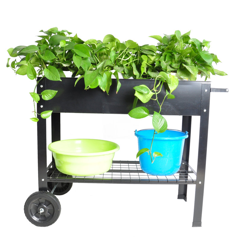 Metal Garden Carts
