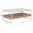 Aurelian Coffee Table
