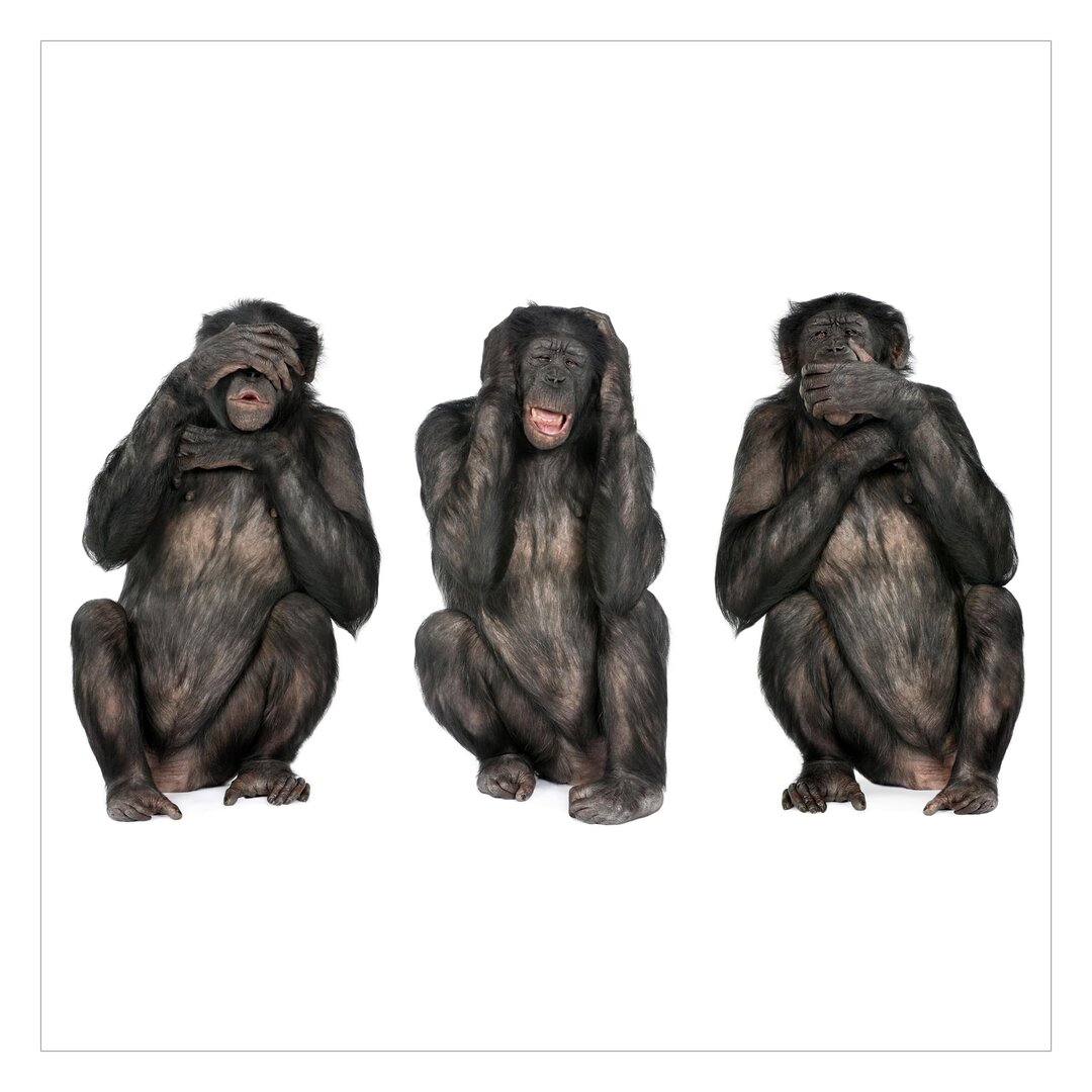 Strukturierte Fototapete Three Wise Monkeys