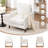 Stylish Upholstered Fabric Accent Chair with Sturdy Solid Wood Legs-895541233