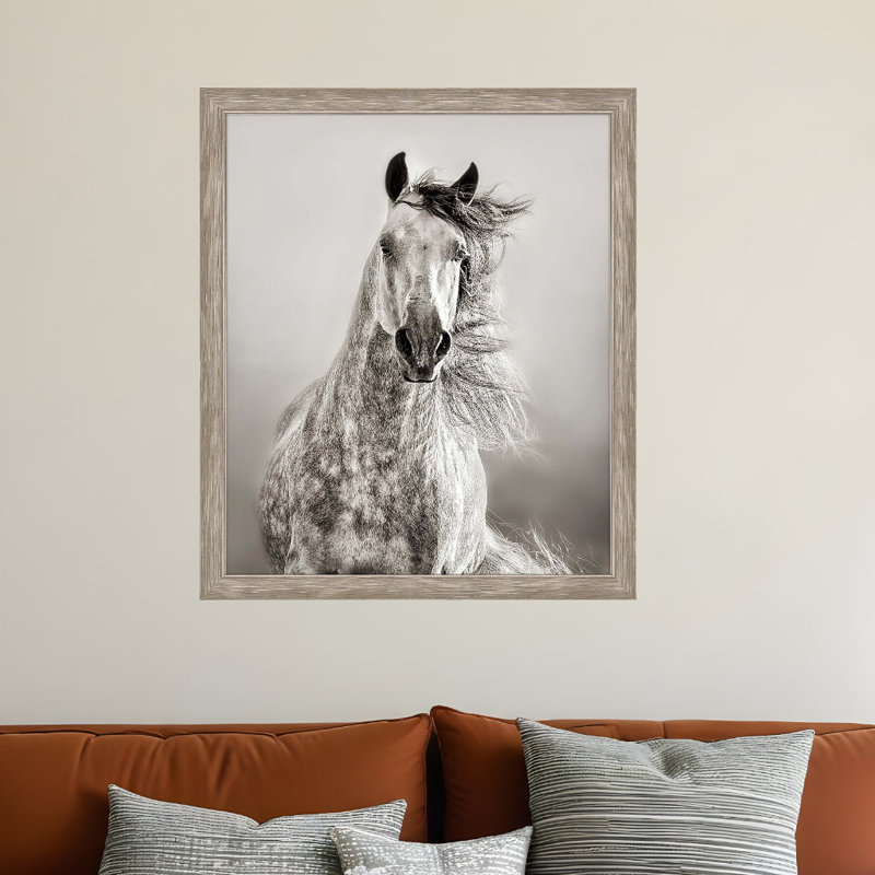 Art mural Caballo de Andaluz
