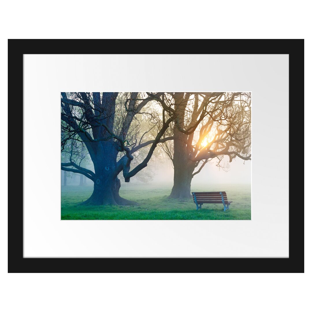 Gerahmtes Poster Baum und Bank im Nebel