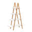 Bellani 135.5cm H x 80cm W Ladder Bookcase-1573767074