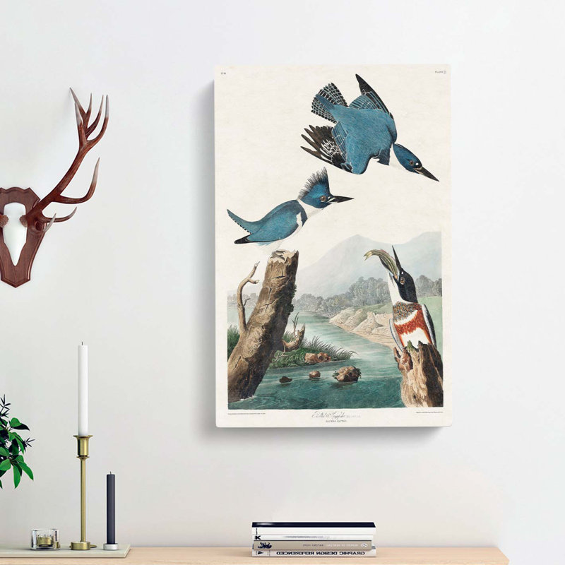 Belted Kingfishers by John Audubon - Wrapped Canvas Painting, 60cm H x 40cm W x 3cm D
