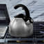 Bouilloire en acier inoxydable Mr. Coffee