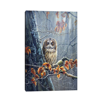 Sunshine And Showers - Tawny Owl par Jeremy Paul - Toile tendue avec châssis sur toile tendue
