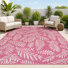 Fuchsia/Light Gray