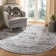 Jase Charleston Performance Oriental Rug