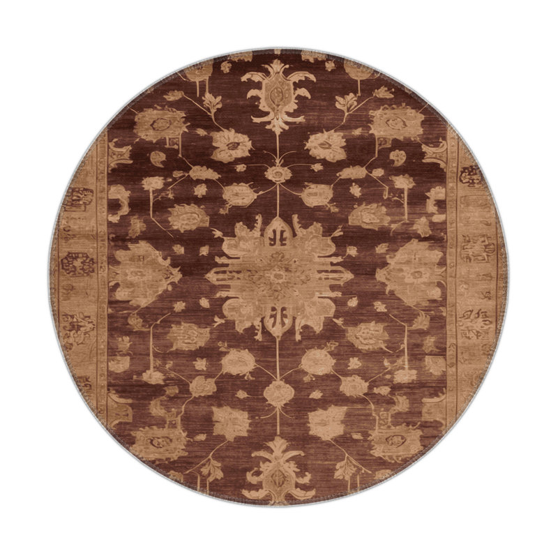Tapis intérieur et extérieur brun Overdyed, Rond 5 pi
