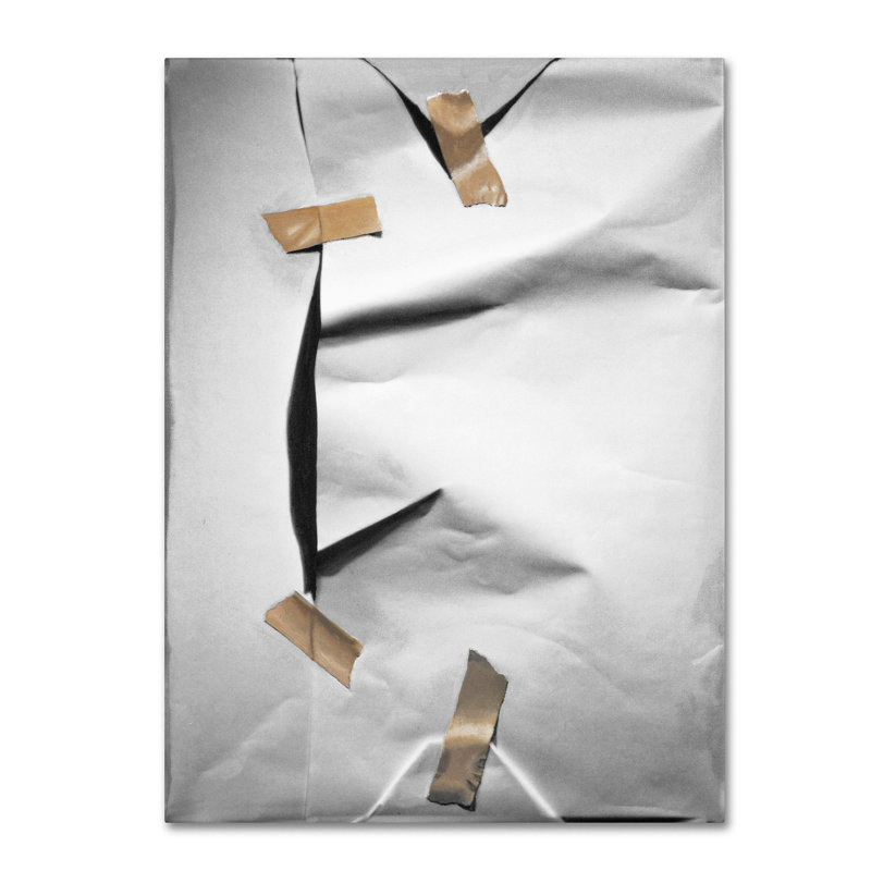 White Wrap Canvas Art by Roderick Stevens, 19" x 19"