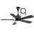 Cissline 42" Mordern Indoor & Outdoor Black Waterproof Ceiling Fan with Led Light and Remote for Patio