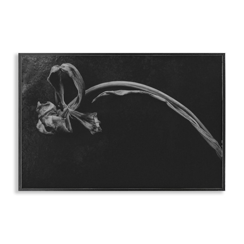 Giclée encadrée de fleurs souples, conception par Amy Carroll, H 20 po x l 30 po, Giclée encadrée noir minuit