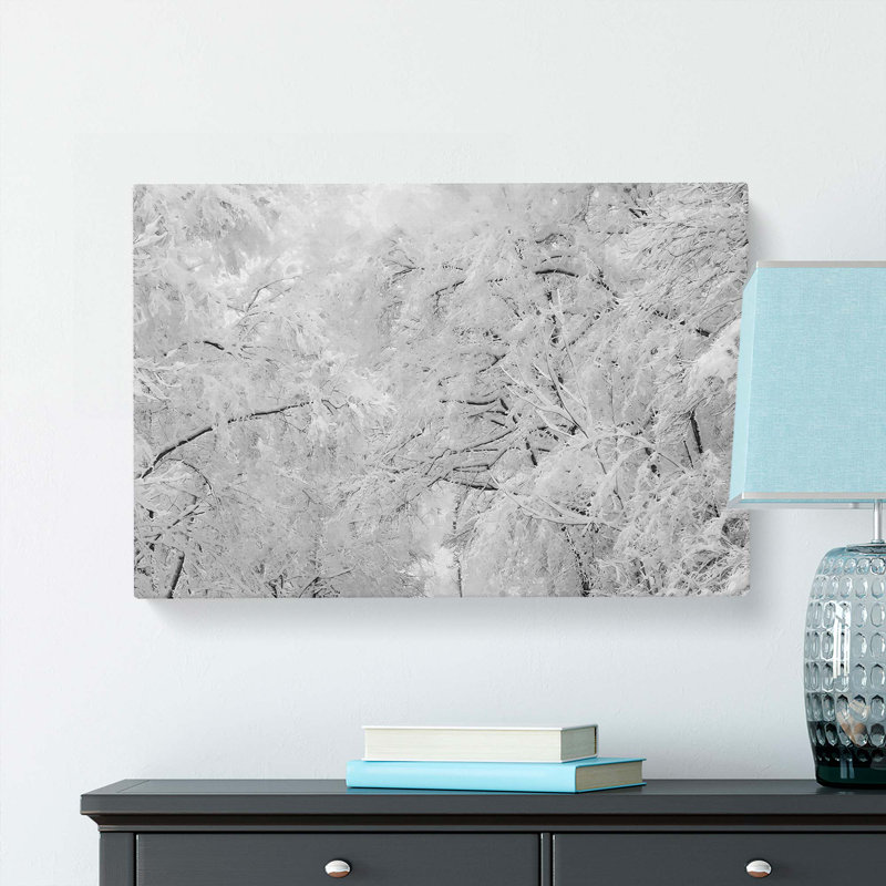 Snow Upon The Tree Branches - Wrapped Canvas, 35cm H x 50cm W x 3cm D