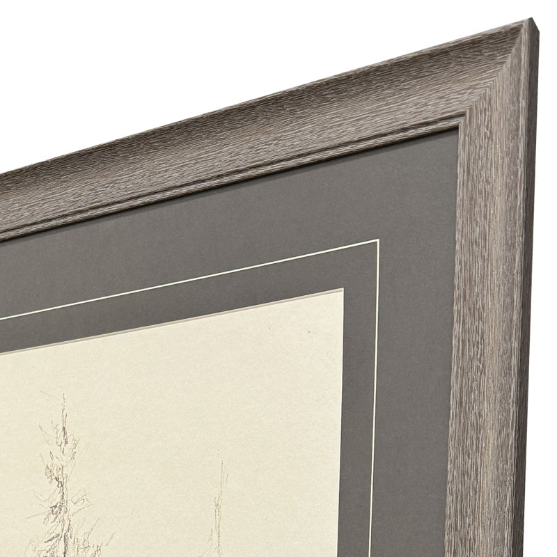 Elegant Pine I Framed Art
