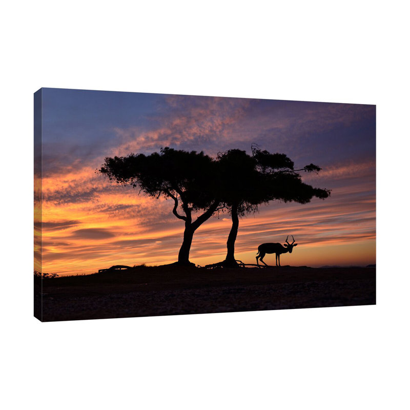 A New Dawn by Dominic Liam - Wrapped Canvas Print, 81cm H x 122cm W x 4cm D