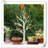 Artificial Tree For Table Decor, 2FT Birch Tree With LED Lights, Warm White Fairy Lights Spirit Tree Lamp For Home Indoor Tabletop Centerpiece, Battery Powered, Timer
