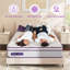 Alwyn Home Medium Hybrid Mattress-199035309-154349189