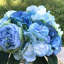 Arrangement floral en faux mélange dans un vase-1238518124