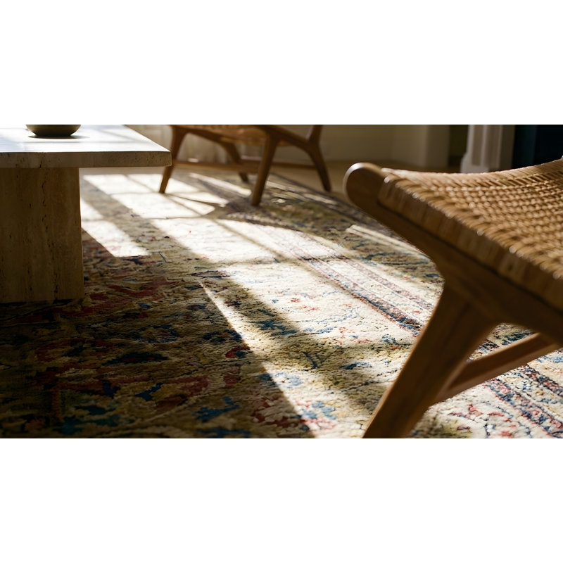 Hand Knotted Wool Area Rug