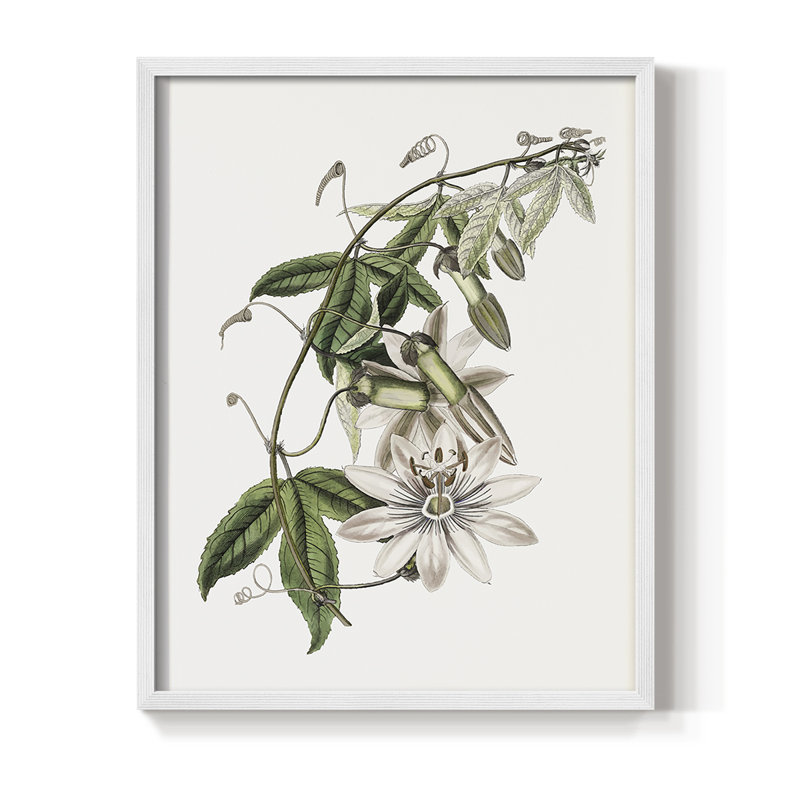 Tropical Botanical II, reproduction encadrée - bois massif, H 15 po x l 12 po, Blanc