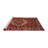 Oriental Indoor Rug-622766572