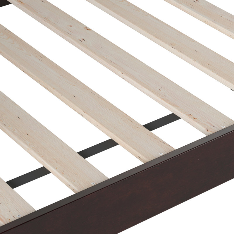Amalya Modern Solid Wood Twin Daybed, Espresso