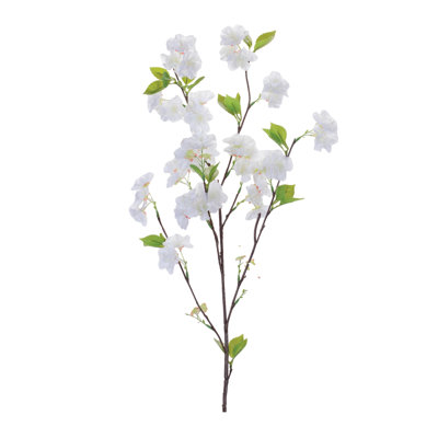Apple Blossom Branch