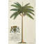 King Palm Print by Porter Design-26773061-26773053