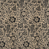 COMPTON PARVUM Wallpaper - Phlox 9'10" - full height wallpaper