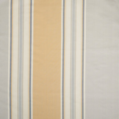 Hamilton Silk Fabric