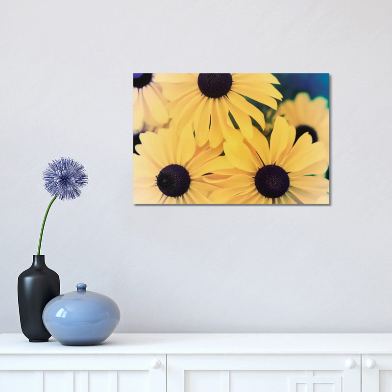 Susans II 1 Piece Wrapped Canvas Wall Art, 30.48 cm H x 45.72 cm W