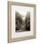 Alan Blaustein, «Hampton Gates III», reproduction de photo encadrée-21030971-69026805-21030968