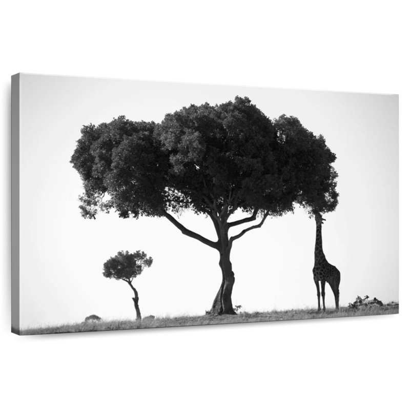 Harnek Acacia Tree, 34" H x 51" W