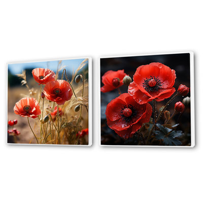 Red Whispers Of Poppies Dream - Poppies Square Collage Set Of 2