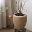 Jardinière Comtemporary Swirl-1913761767