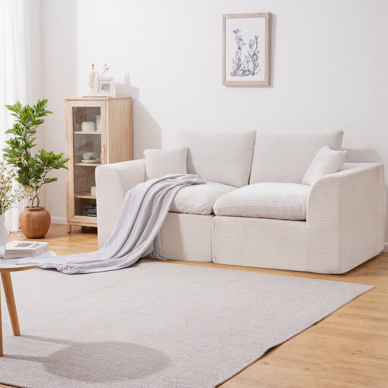 Canapé modulaire modulaire à 2 places avec housses de coussin amovibles, canapé en velours côtelé doux sans assemblage, mobilier de salon moderne