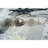 AURACH236MU05 Indoor Rug-64348376